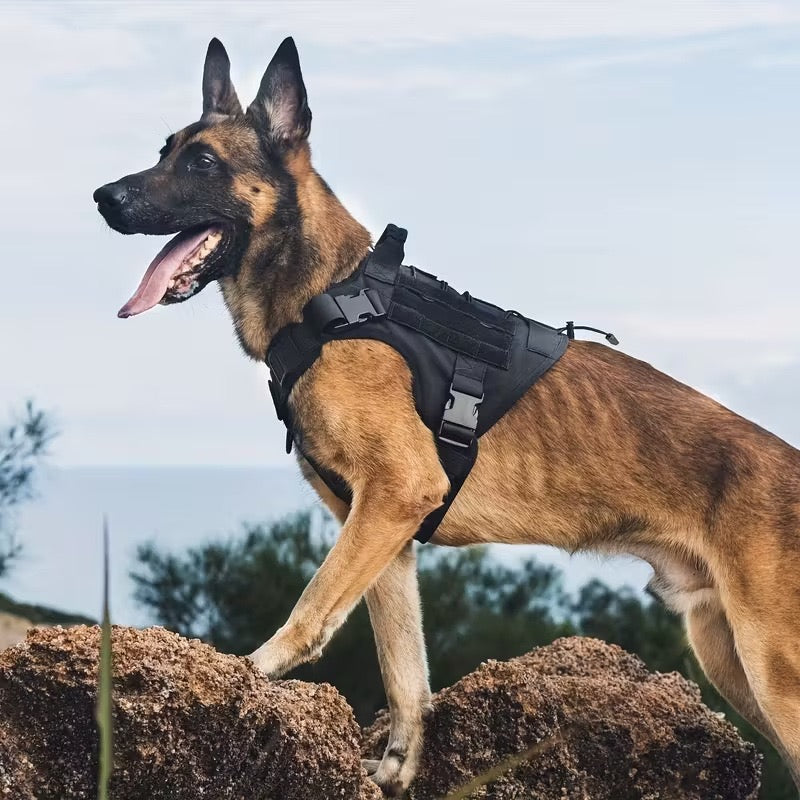 New Upgraded Tactical Anti-Pull Dog Harness