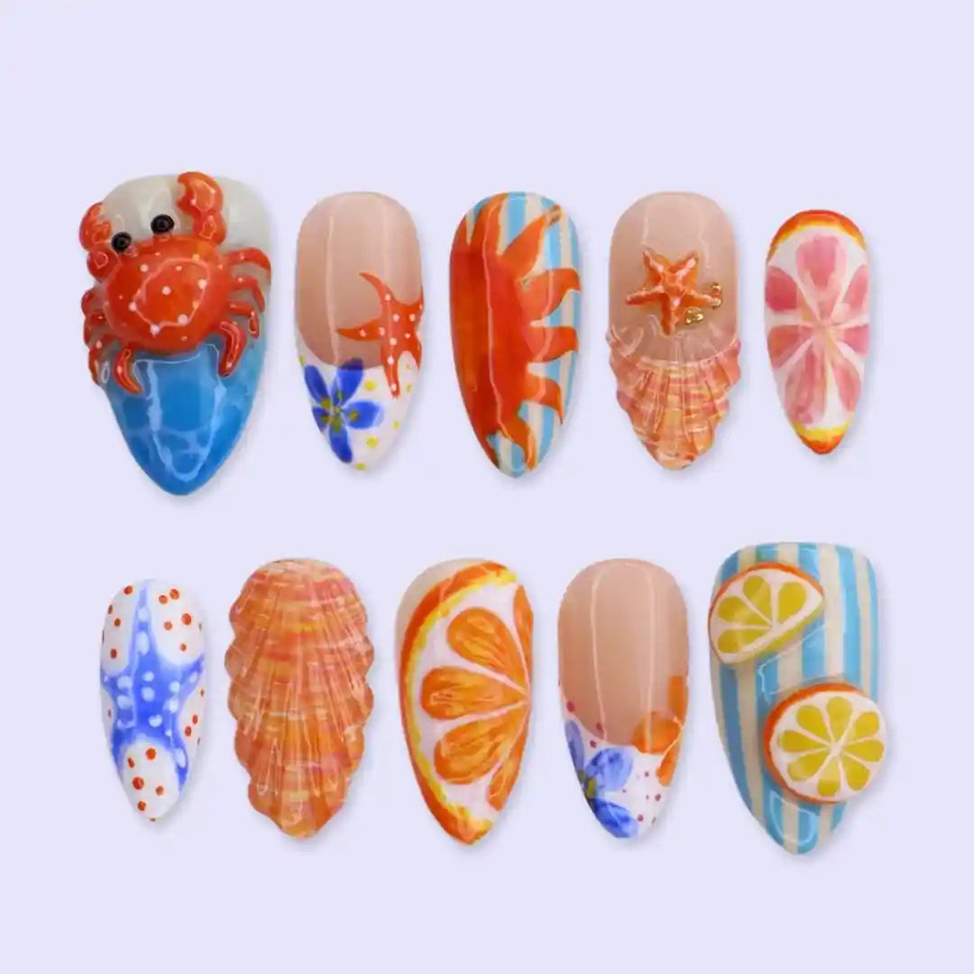 Crab & Seashell