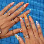 Crab & Seashell