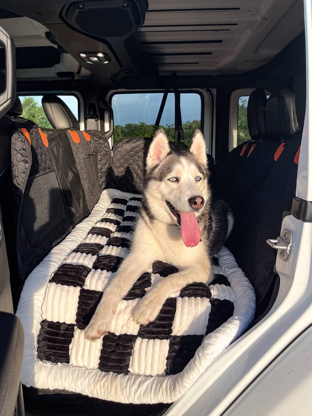 Backseat Dog Bed