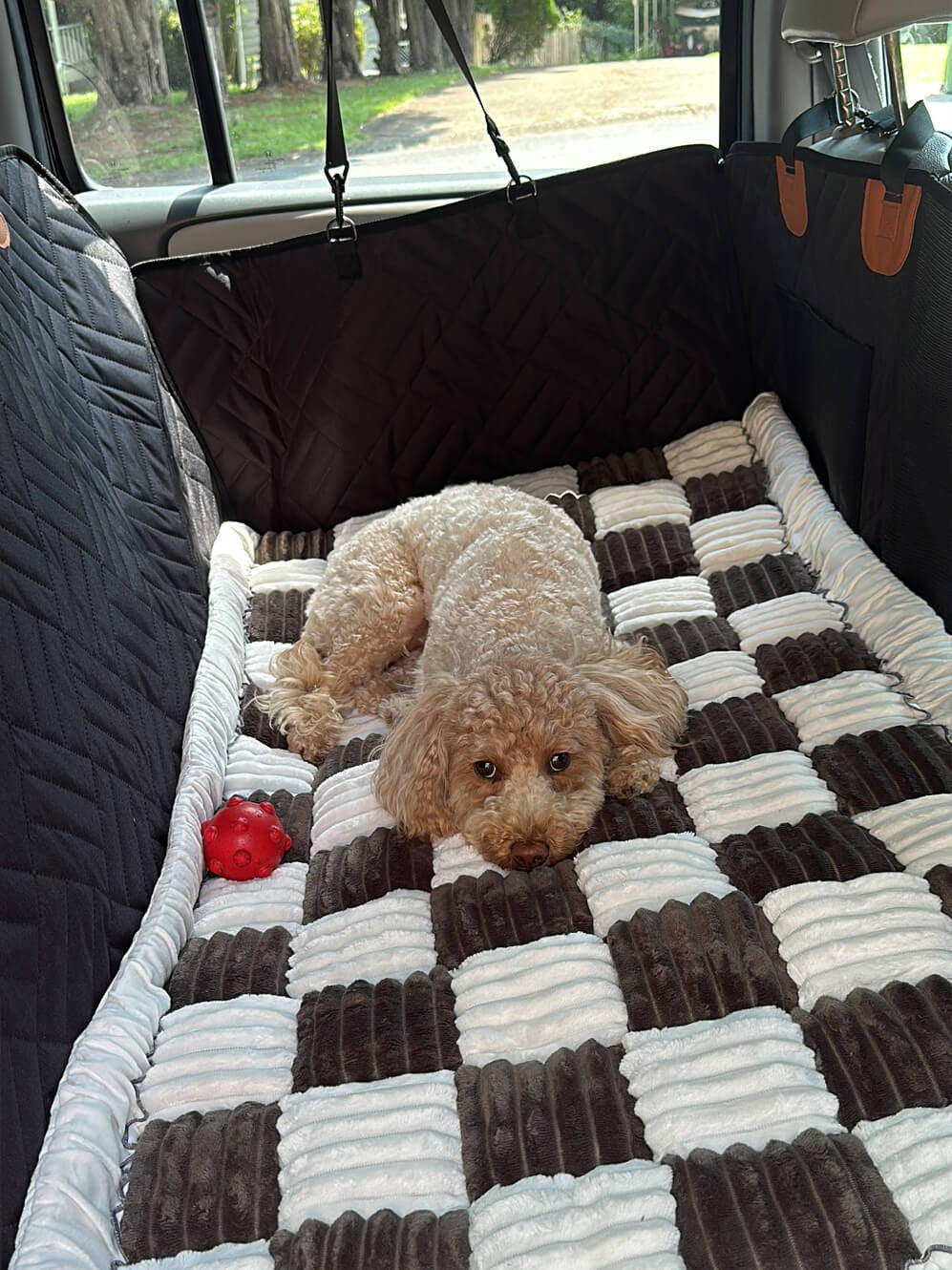 Backseat Dog Bed