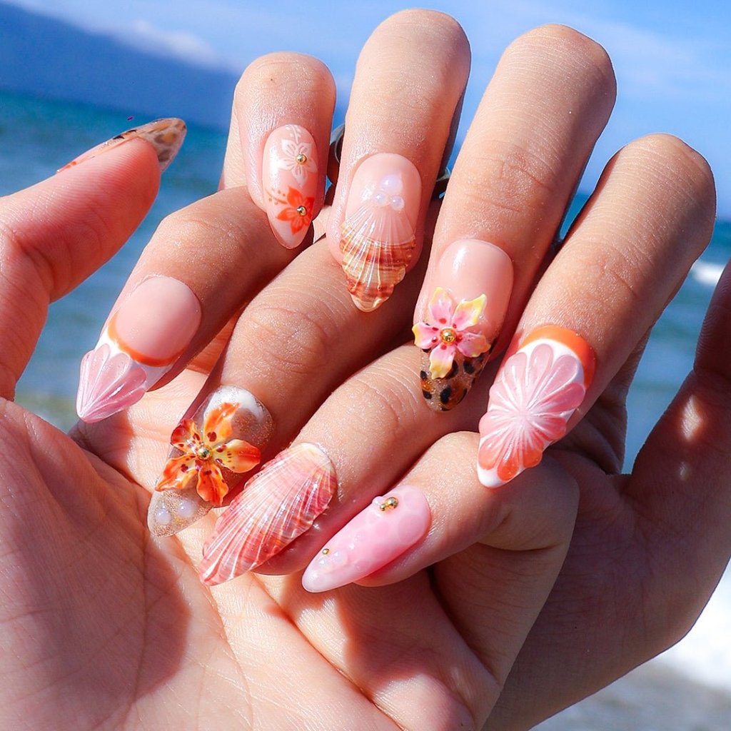 Shelluxe