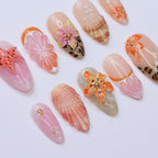 Shelluxe